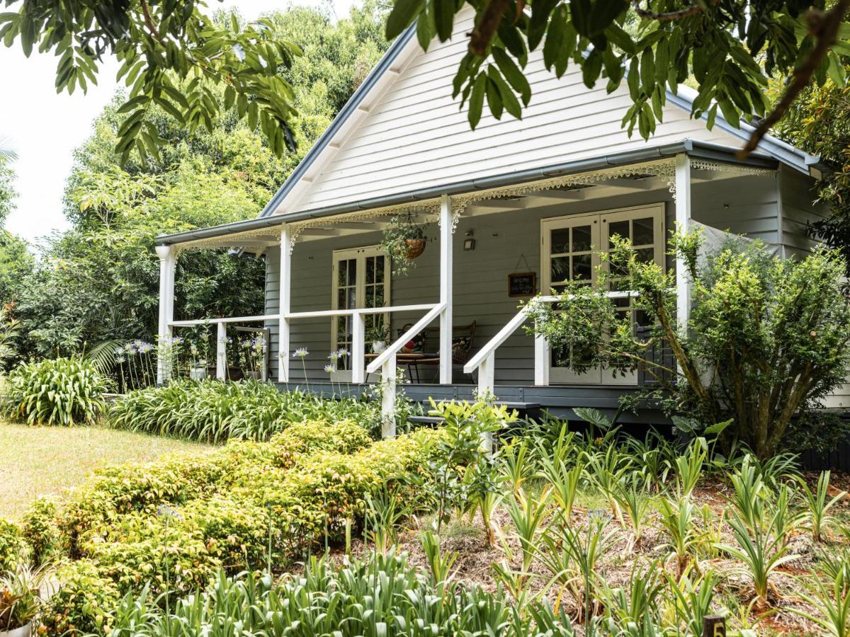 Romantic Cottage, Tamborine Mountain Bagian luar foto